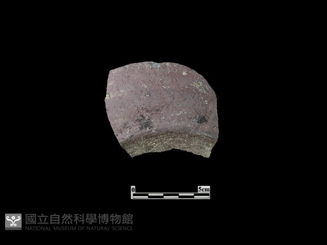 陶片藏品圖，第2張