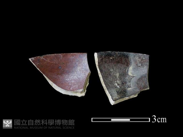 湯匙藏品圖，第2張