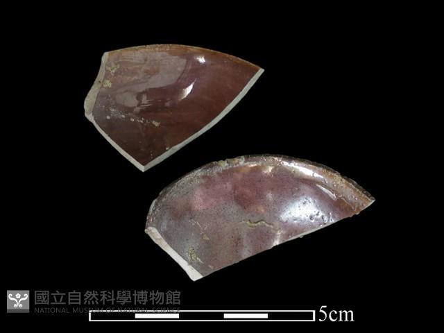 湯匙藏品圖，第1張