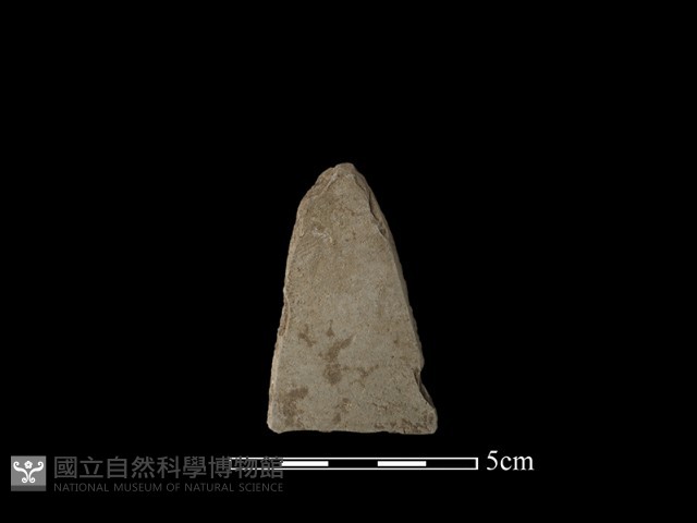 矛鏃形器藏品圖，第1張