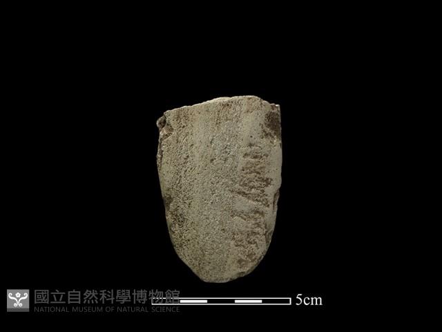 斧鋤形器藏品圖，第1張