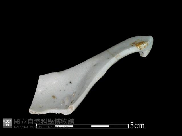 湯匙藏品圖，第2張