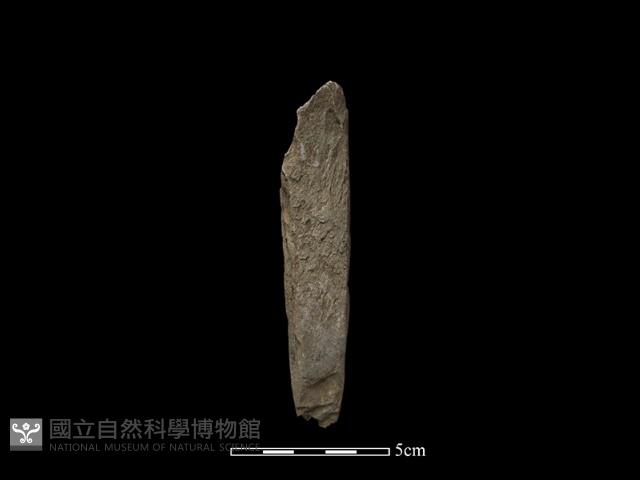 錛鑿形器藏品圖，第1張