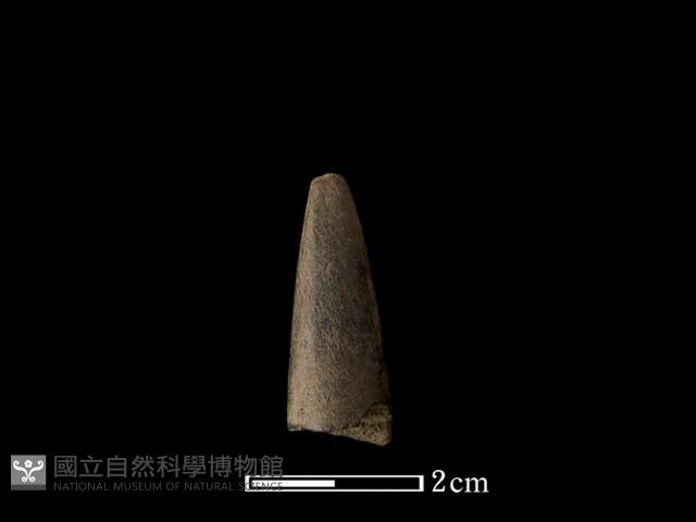 磨製石器藏品圖，第2張