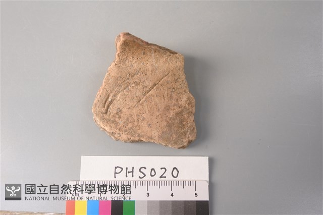 陶片藏品圖，第1張