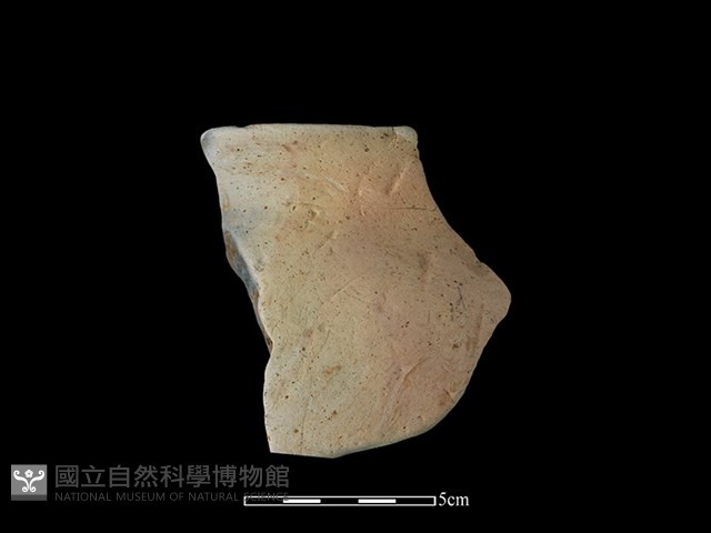 陶罐藏品圖，第1張