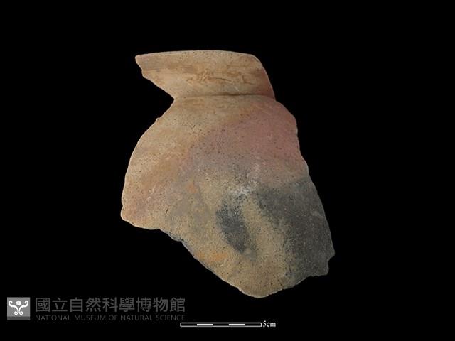 陶罐藏品圖，第1張