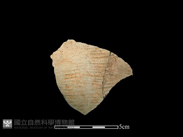 陶片藏品圖，第1張