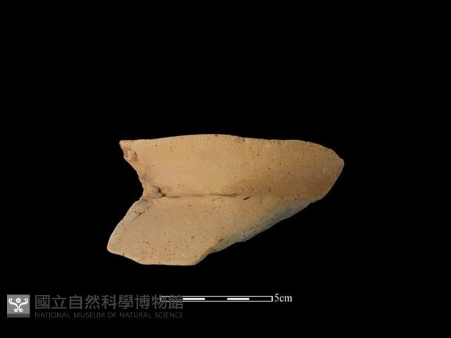 陶罐藏品圖，第1張