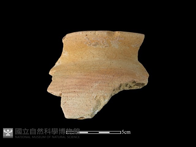陶罐藏品圖，第1張