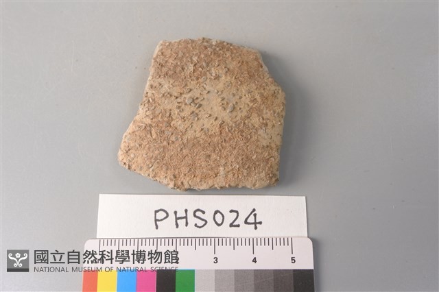 陶片藏品圖，第1張