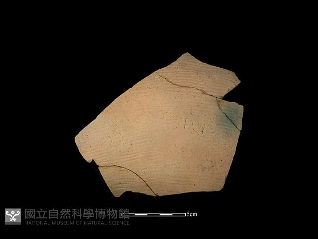 陶片藏品圖，第1張