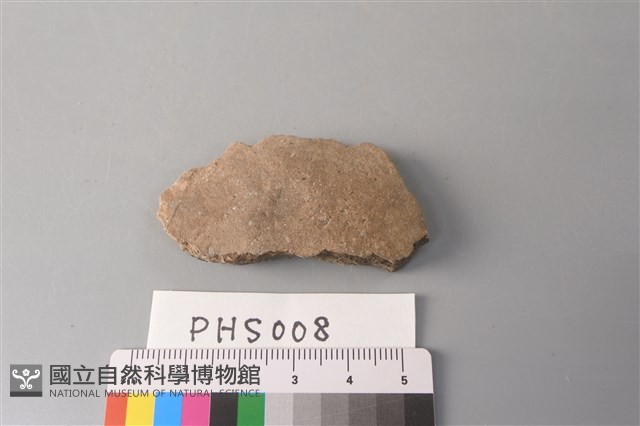 陶片藏品圖，第1張