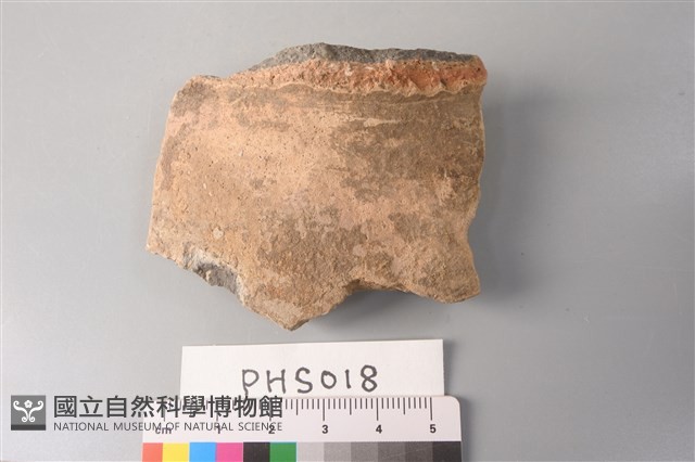 陶片藏品圖，第1張