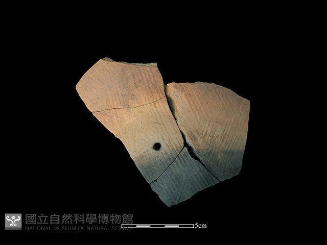 陶片藏品圖，第1張