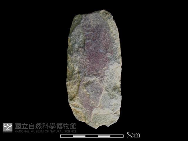 斧鋤形器藏品圖，第1張