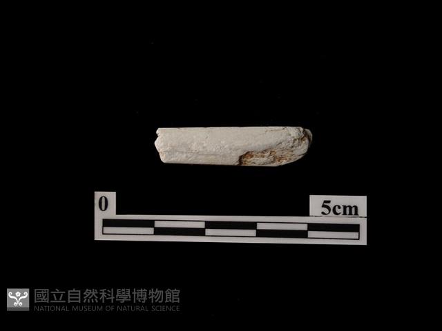 帶加工痕石材藏品圖，第2張