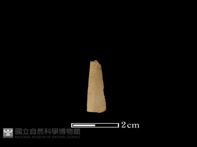 矛鏃形器藏品圖，第1張