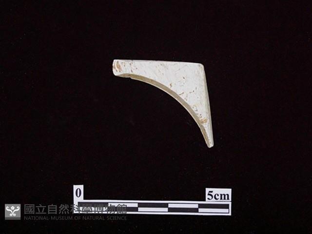 帶加工痕石材藏品圖，第1張