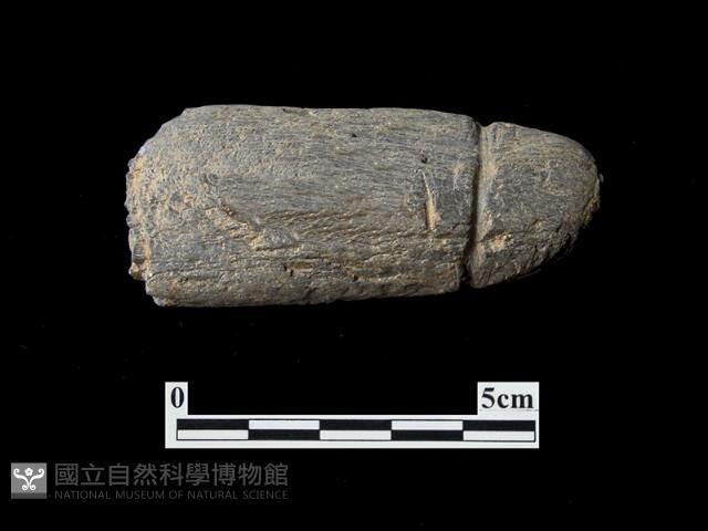 網墜藏品圖，第1張