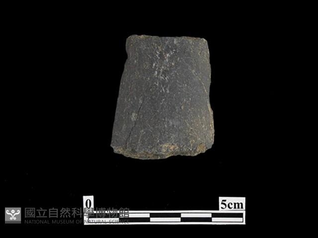 磨製有刃石器藏品圖，第1張