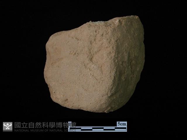 網墜藏品圖，第2張