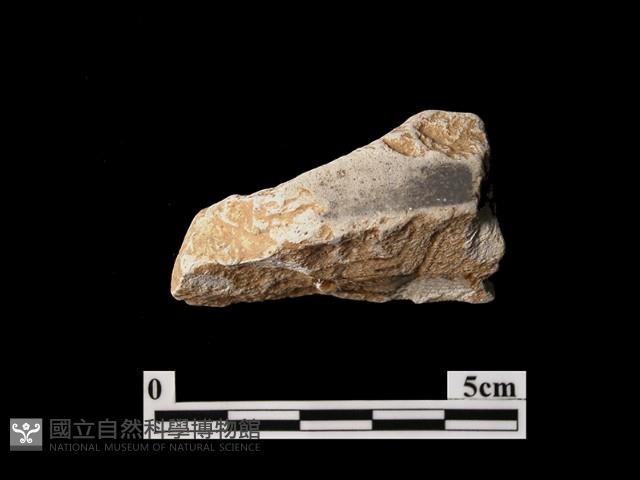 帶加工痕石材藏品圖，第1張