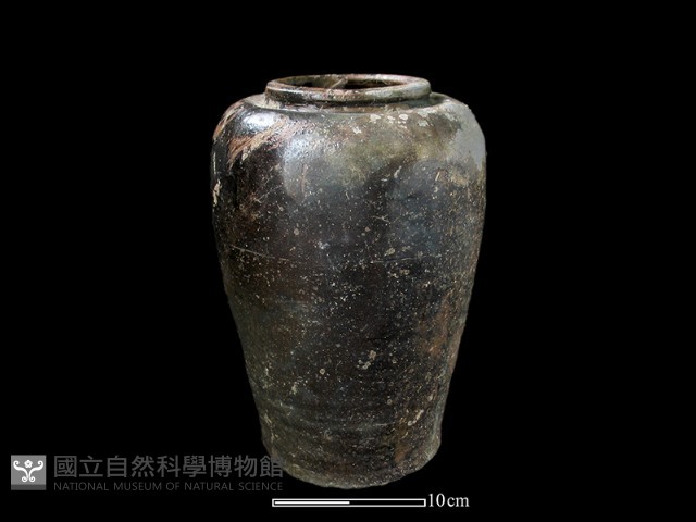 陶甕藏品圖，第1張