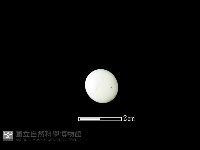 圍棋子藏品圖，第1張