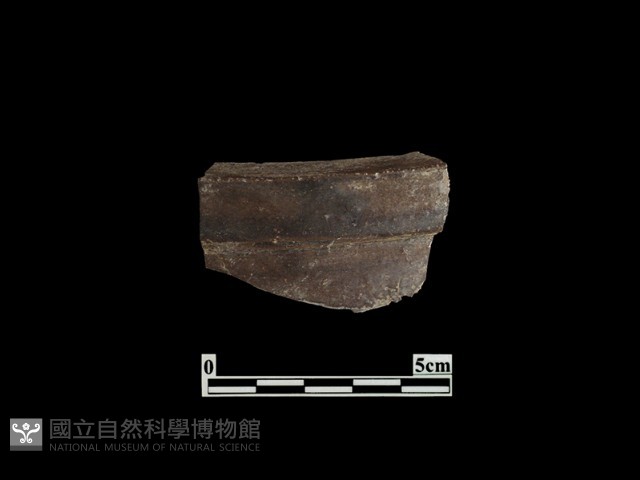 陶缸藏品圖，第2張