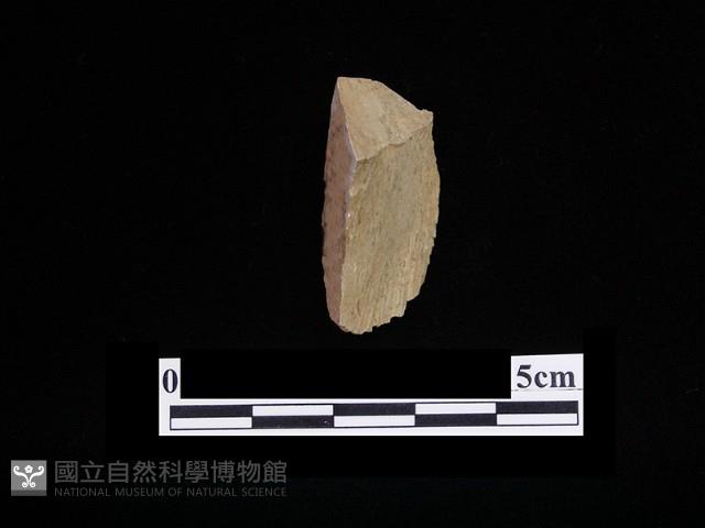 錛鑿形器藏品圖，第1張