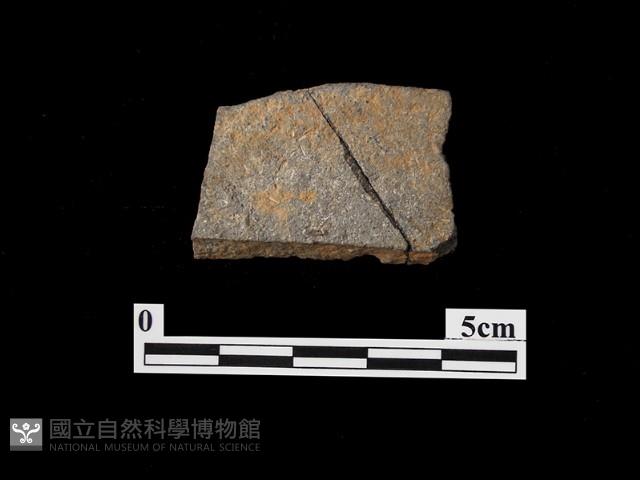 石片器藏品圖，第1張