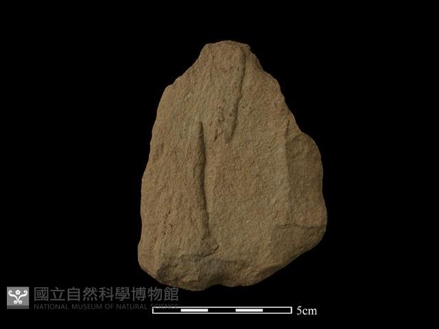 斧鋤形器藏品圖，第2張