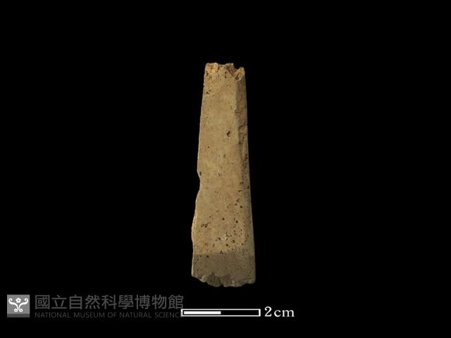 錛鑿形器藏品圖，第1張