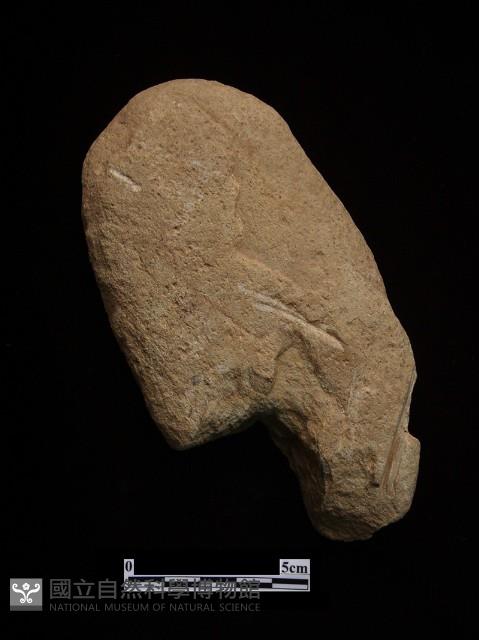 石鎚藏品圖，第2張