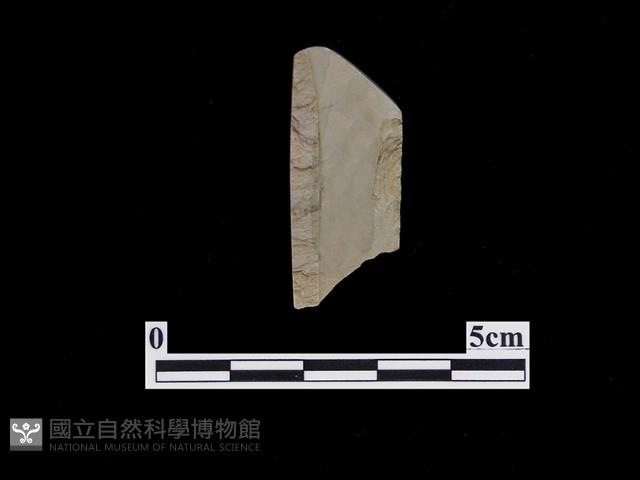 帶加工痕石材藏品圖，第2張