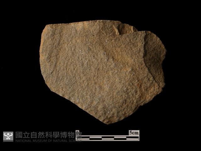 石片器藏品圖，第2張