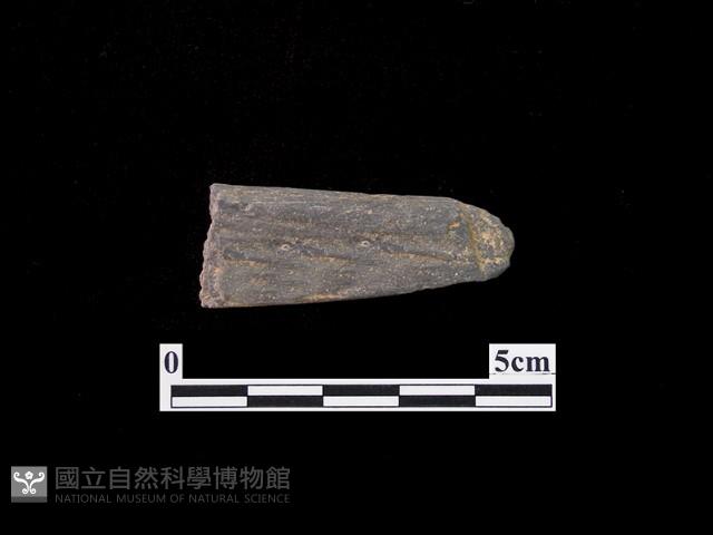 網墜藏品圖，第2張