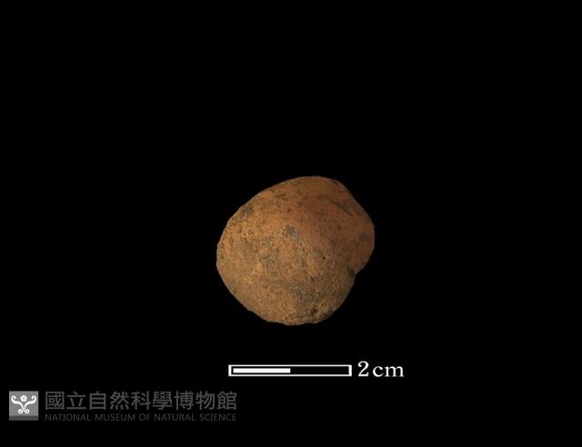 紡輪藏品圖，第2張