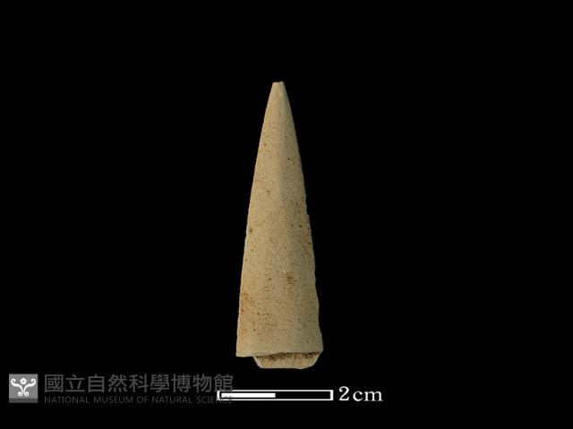 矛鏃形器藏品圖，第1張