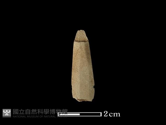 矛鏃形器藏品圖，第1張