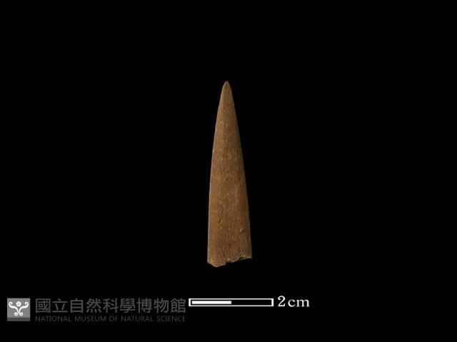 矛鏃形器藏品圖，第1張