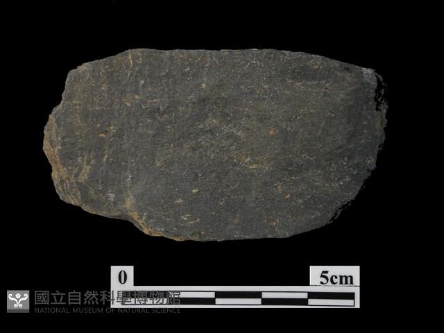 帶加工痕石材藏品圖，第2張