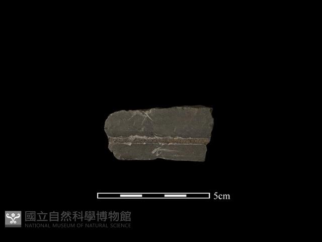 磨製石器藏品圖，第2張