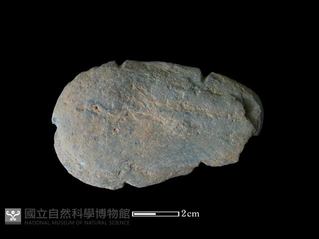 網墜藏品圖，第1張
