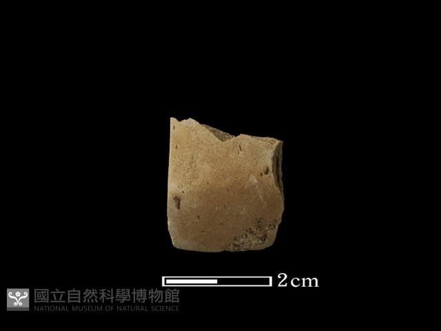錛鑿形器藏品圖，第2張