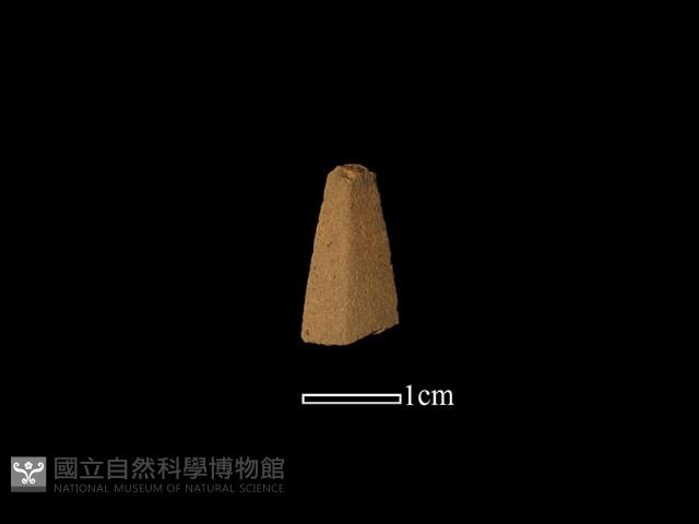 矛鏃形器藏品圖，第1張