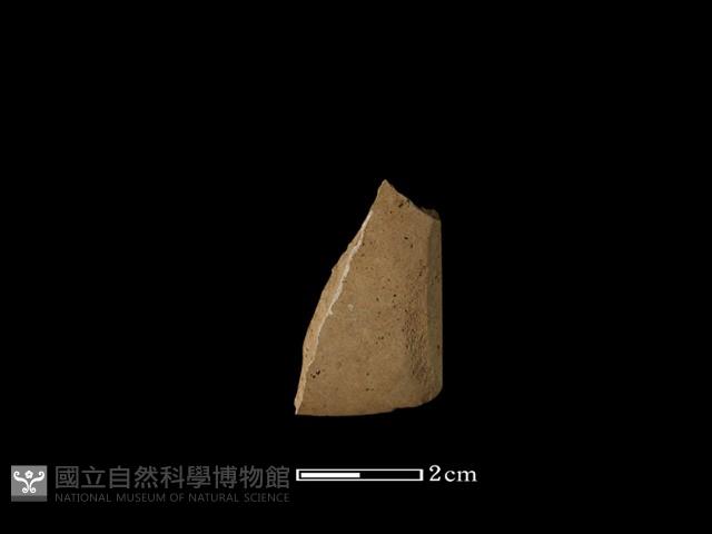 錛鑿形器藏品圖，第1張