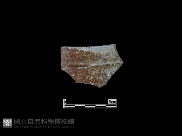 陶缸藏品圖，第2張