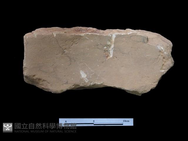 帶加工痕石材藏品圖，第2張